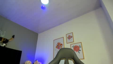 Snapshot of _aliice_1 chatting on January 17, 7:49 pm Alice online show from January 17, 7:49 pm