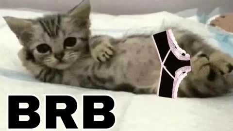 miko3 online show from December 3, 11:29 pm