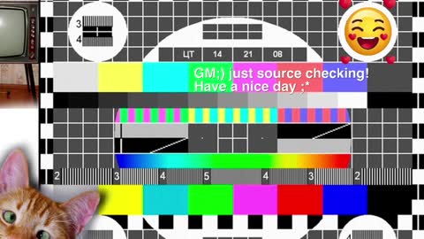  HADLY see u online 0312  online show from December 9, 11:26 am