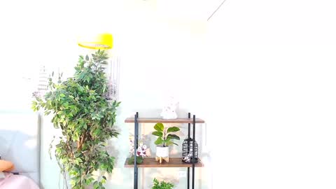 Sassy Girl online show from December 2, 6:08 pm