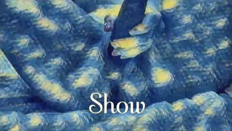 Evi online show from January 18, 10:28 pm