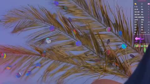 Ally online show from March 11, 11:23 am