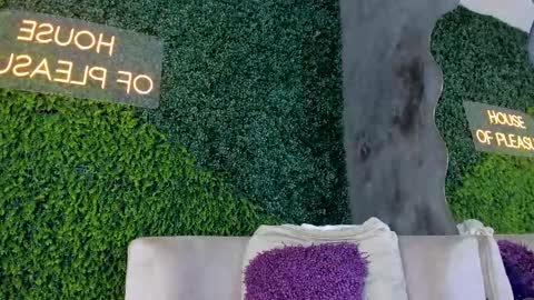 A B B Y online show from February 13, 11:50 am