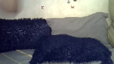 afrii_kity online show from May 12, 2:20 am