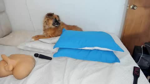 karoline  online show from December 2, 10:34 pm