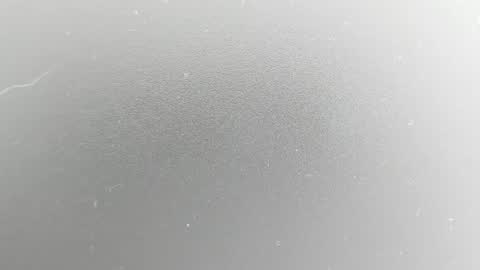 Ailey online show from July 10, 2:23 am