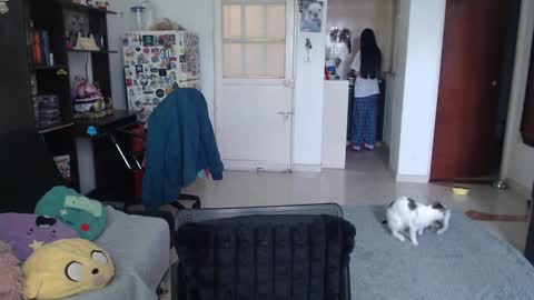 Aizen My- online show from September 24, 2:49 pm