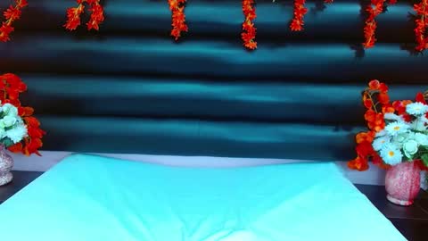 Snapshot of alasmith_ chatting on January 15, 2:17 am AlaSmith online show from January 15, 2:17 am