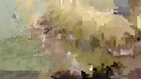 Snapshot of alatinmermaid chatting on September 17, 10:41 pm alatinmermaid online show from September 17, 10:41 pm