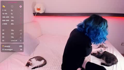 Alice online show from November 8, 8:08 am