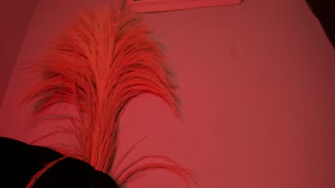 ALICE  online show from October 25, 3:14 am