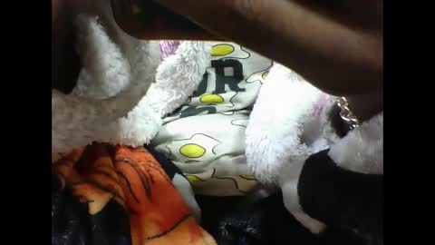 alicia253177 online show from September 10, 6:30 pm