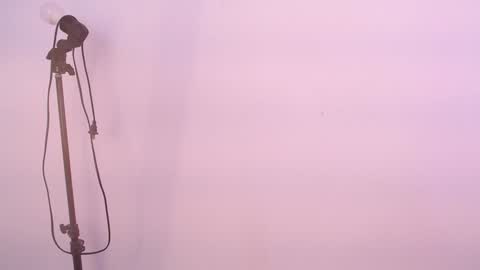 Alice online show from December 10, 4:02 am