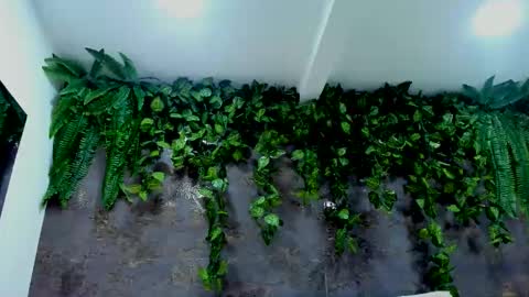 Alice online show from December 16, 8:15 pm