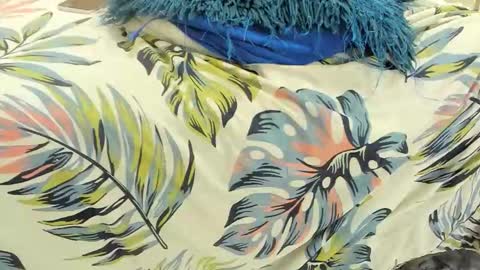 Goddess Alisha online show from March 19, 5:45 am