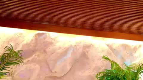 Alison Moon  online show from June 30, 10:42 pm