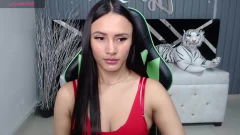 Snapshot of allisson_a chatting on December 21, 3:47 am Allisson online show from December 21, 3:47 am