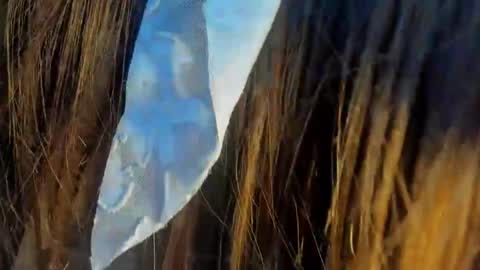 allysonrrouserx online show from March 18, 11:48 am