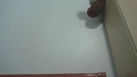 amedasex online show from December 3, 9:11 am