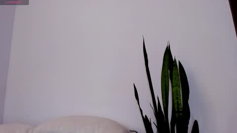 ammy online show from September 11, 3:34 pm