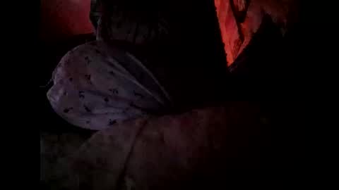 ANABELLOVEE online show from February 3, 2:53 am