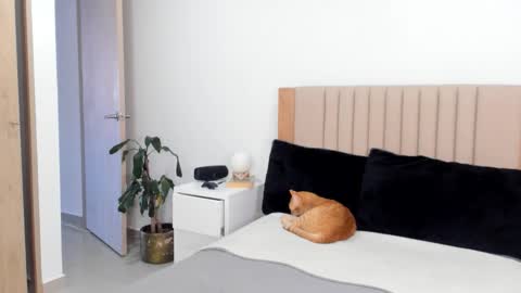 Ana Henao or Annie... Follow me ahenaocb Insta  X online show from October 25, 9:32 pm