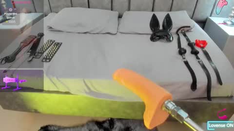 Ani  Time schedule 0600 - 1400 GMT -5 online show from February 11, 11:44 am