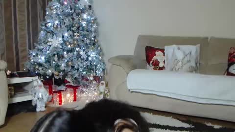 annesins online show from November 28, 6:33 pm