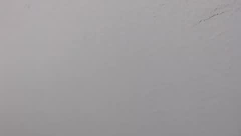 ariannaloovel online show from June 14, 2:24 am