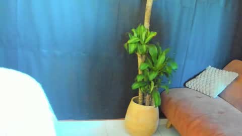 Audry online show from February 10, 8:12 pm