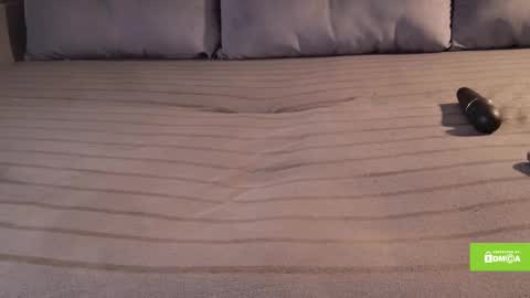 avr0ria online show from December 5, 10:38 am