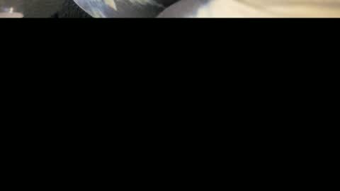 deliciosodemente online show from December 22, 6:27 am