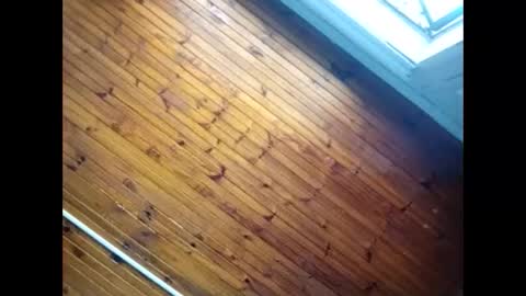 Baby  P online show from February 26, 9:30 am