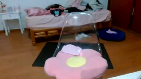 Gaby online show from July 29, 1:27 am