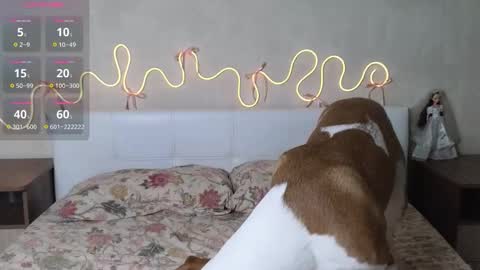 im Betty online show from January 8, 8:40 am