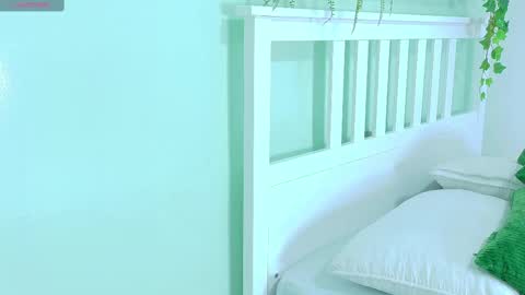 BELA online show from November 12, 11:41 am