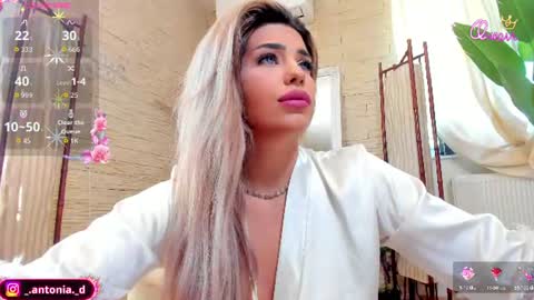 bella_posh online show from June 26, 7:31 am