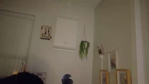 Snapshot of bellatrix993 chatting on September 30, 5:24 am bellatrix993 online show from September 30, 5:24 am