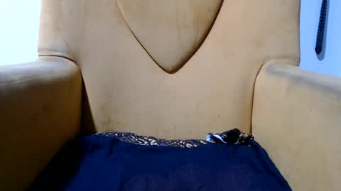 berrycany online show from July 3, 6:08 am