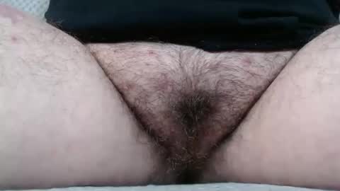 Abby online show from November 2, 2:53 pm