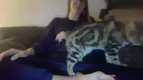 bisons online show from December 1, 10:34 pm