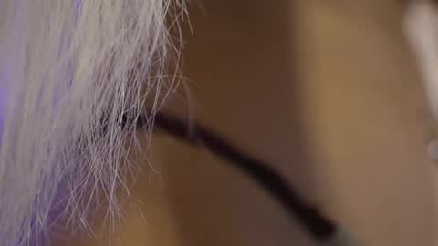 blondie_muller online show from April 30, 8:57 pm