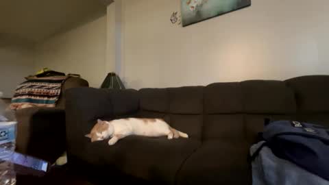 bluebloodednorsewitch online show from October 16, 2:30 pm