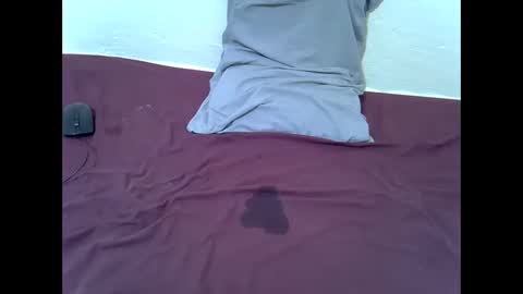 Bunny online show from November 22, 2:36 am