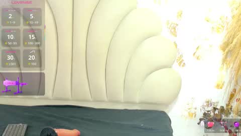 bonieklent online show from November 9, 1:56 am