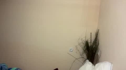 Ciri online show from July 9, 5:48 pm