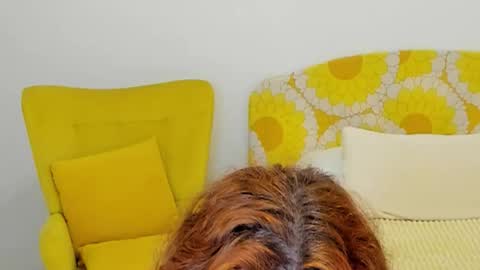 Penelope online show from February 8, 5:55 am