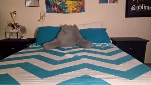 Starting over... online show from November 19, 7:19 am