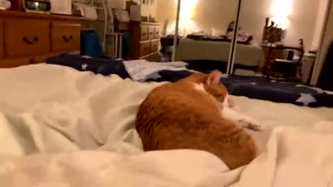 busty_2008 online show from March 19, 5:45 am