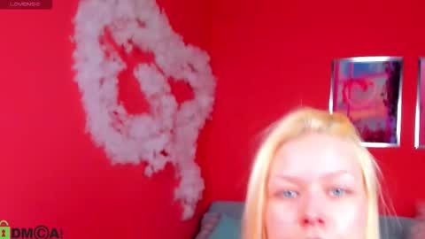 Robin online show from November 8, 11:04 am